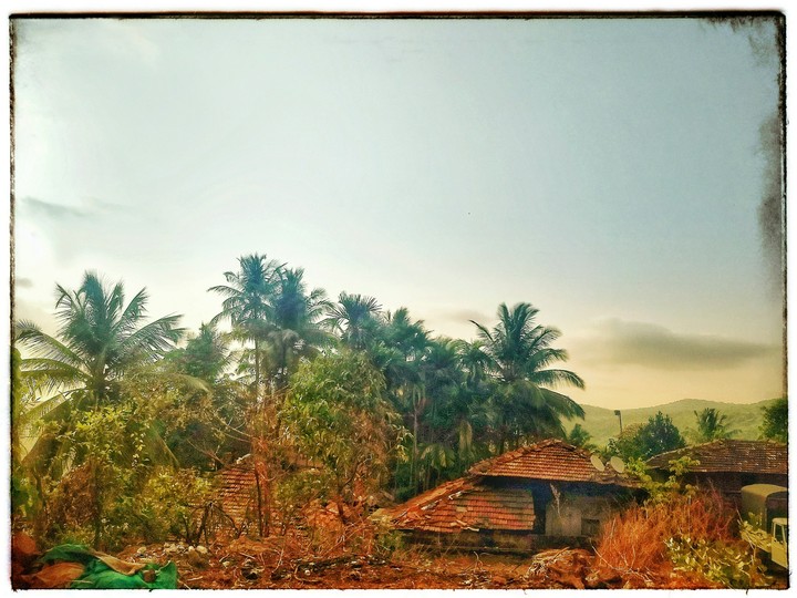 Nature