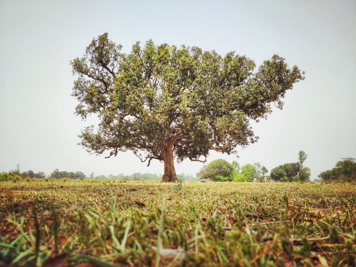 Beauty of the village