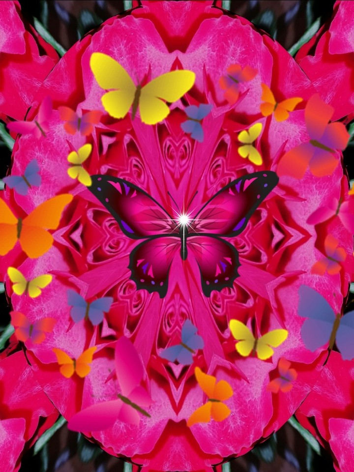 Schmetterlinge