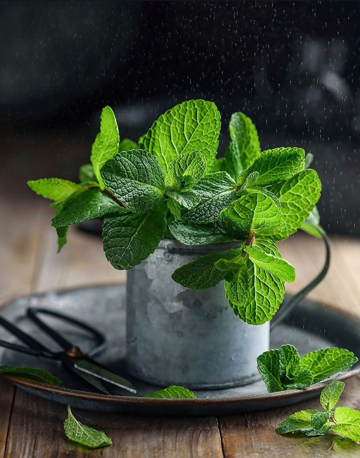 Mint