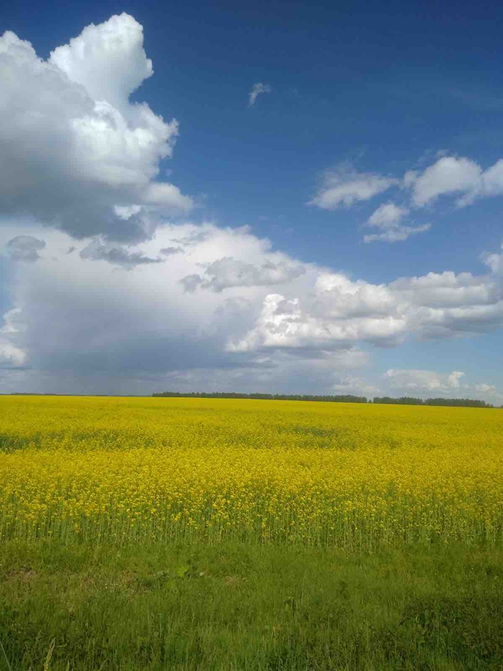 ☀️