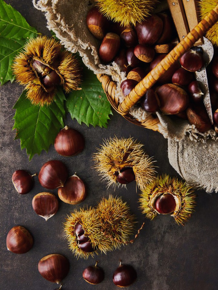 CHESTNUTS IN THE BASKET