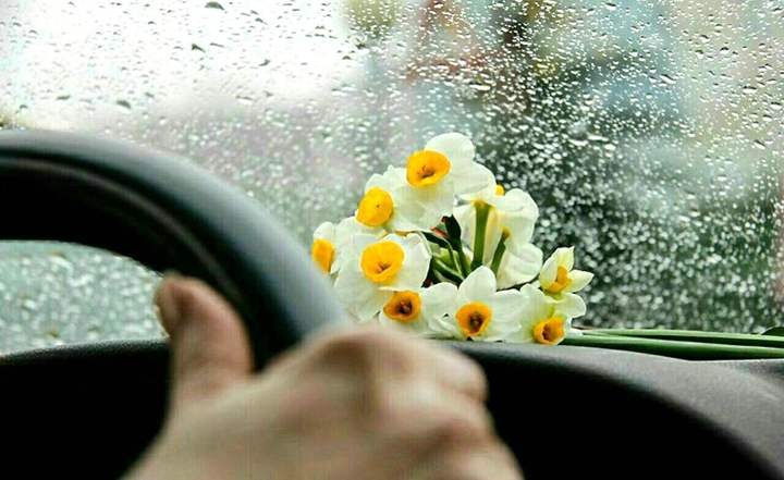 بوي بهشت