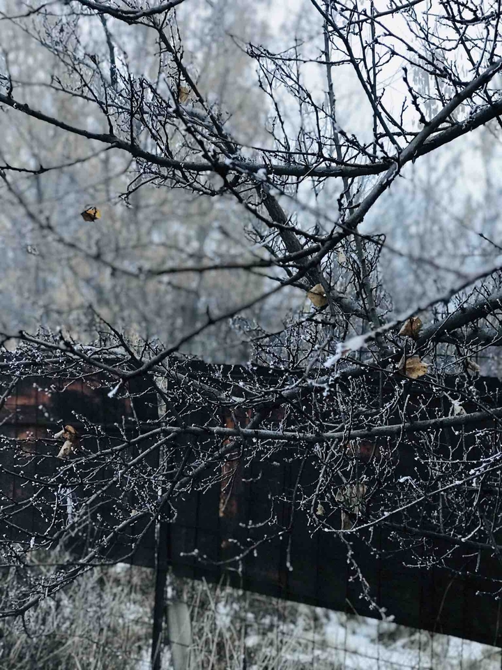raindrops