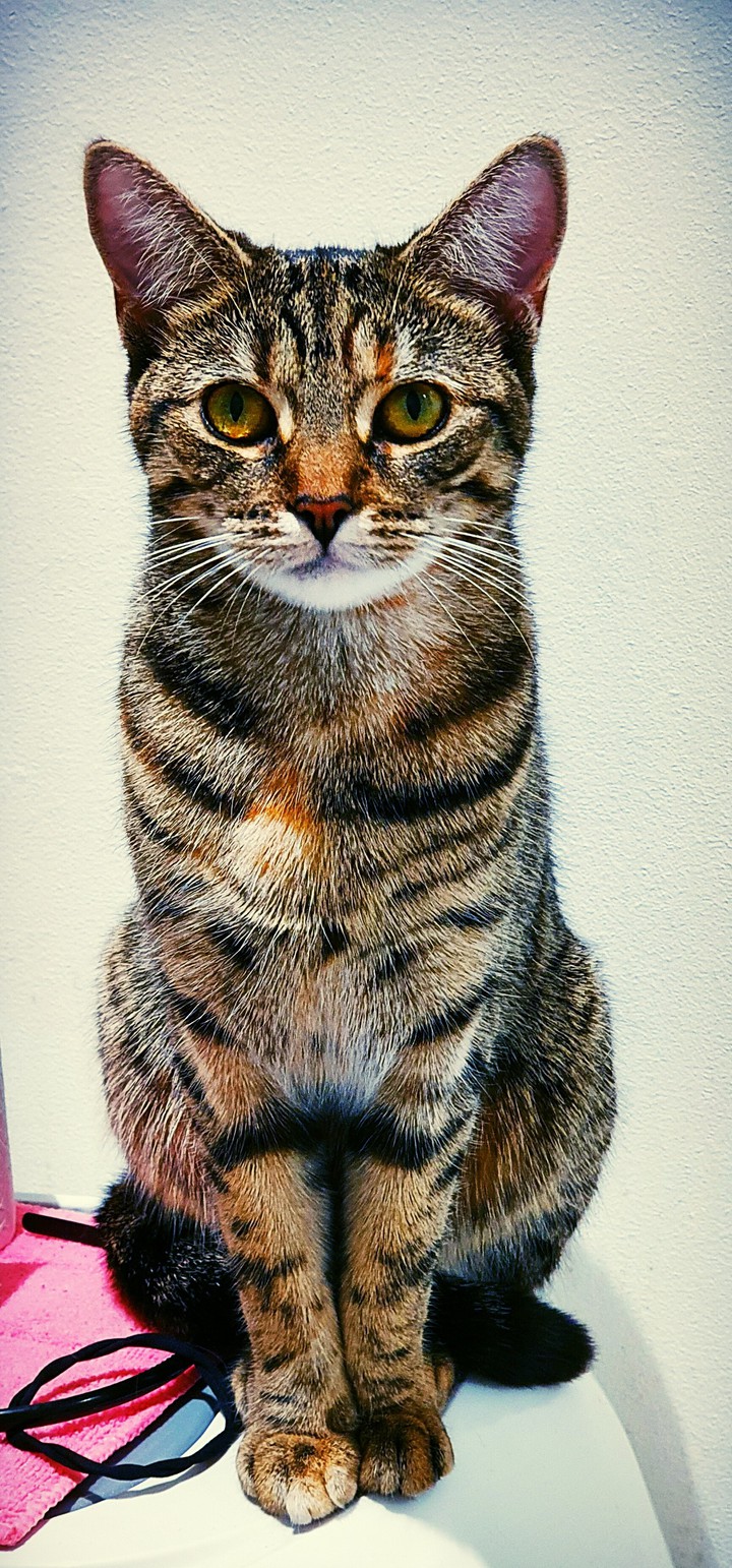 Lucy. 1 year old