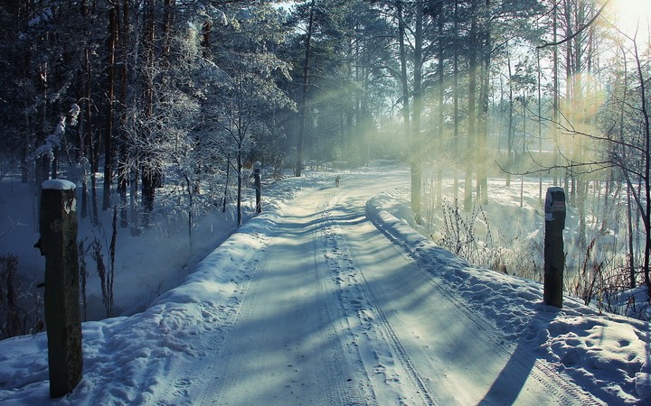 winter holidays