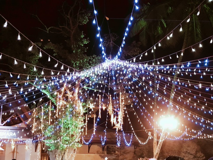 Festive lights