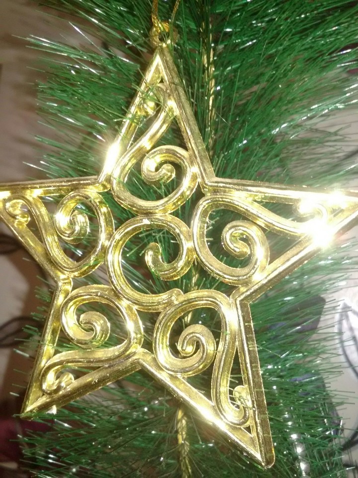 Christmas star