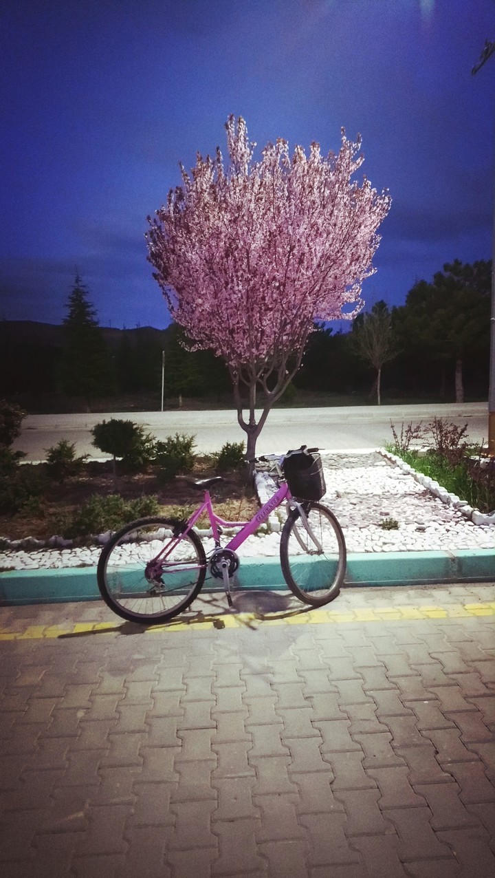 night bicyle