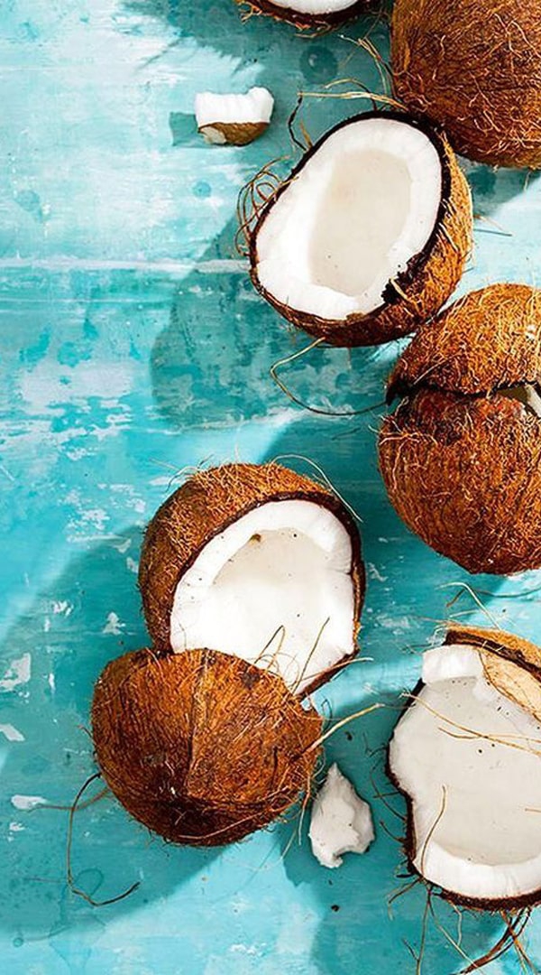 Coconut