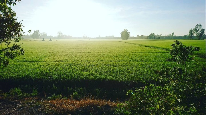 in vietnam
