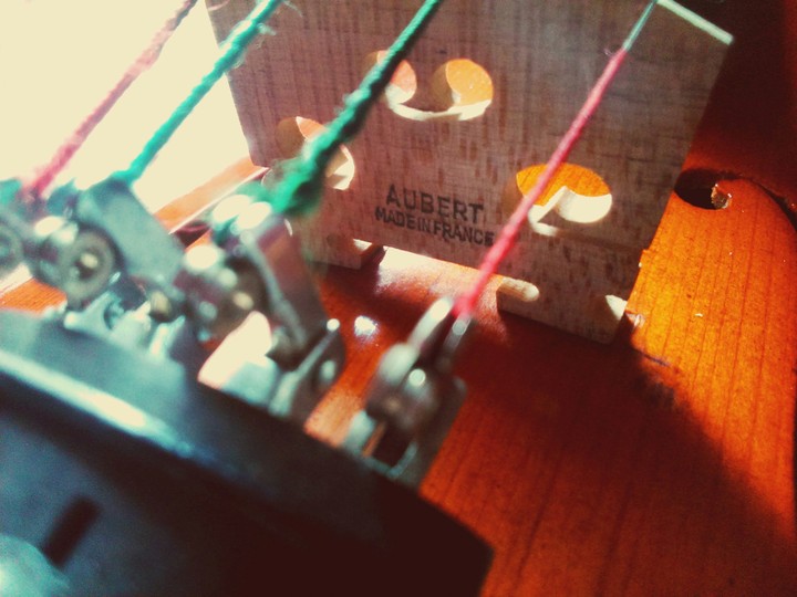 violin bridge