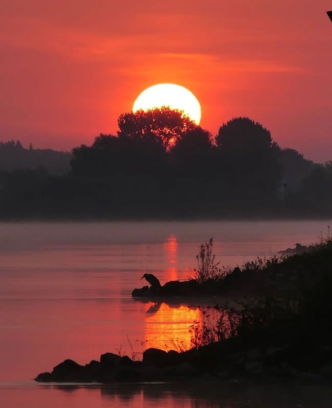 Netherlands...