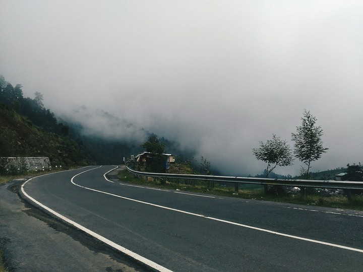The Fog