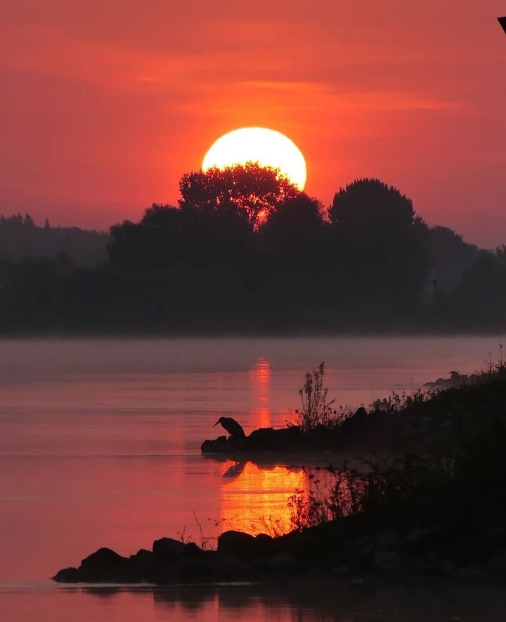 Netherlands...