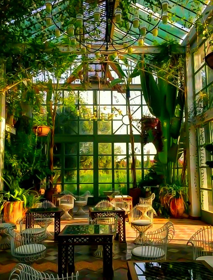 The Greenhouse Effect