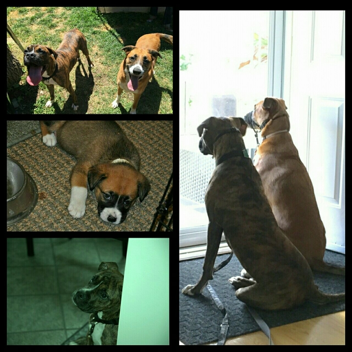 Frienemies for life