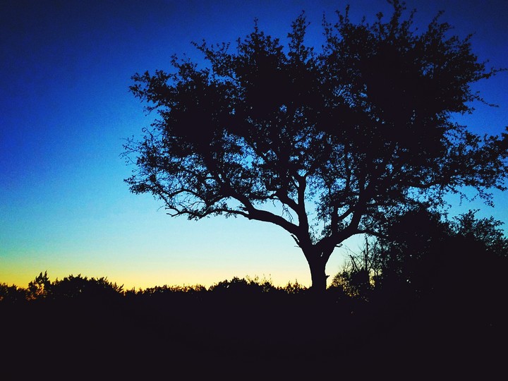 Central Texas Thanksgiving Sunrise