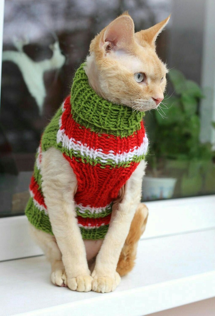 feeling cold
