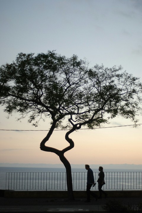 madeira