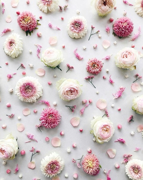 blossom