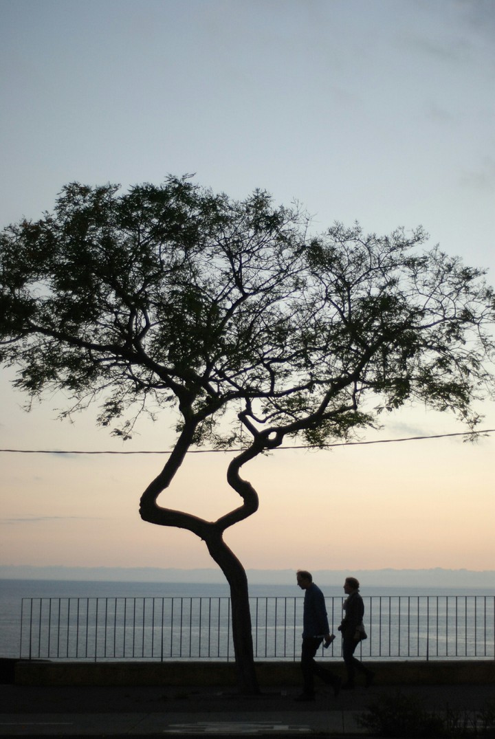 madeira