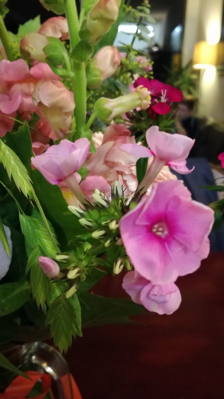 flowers