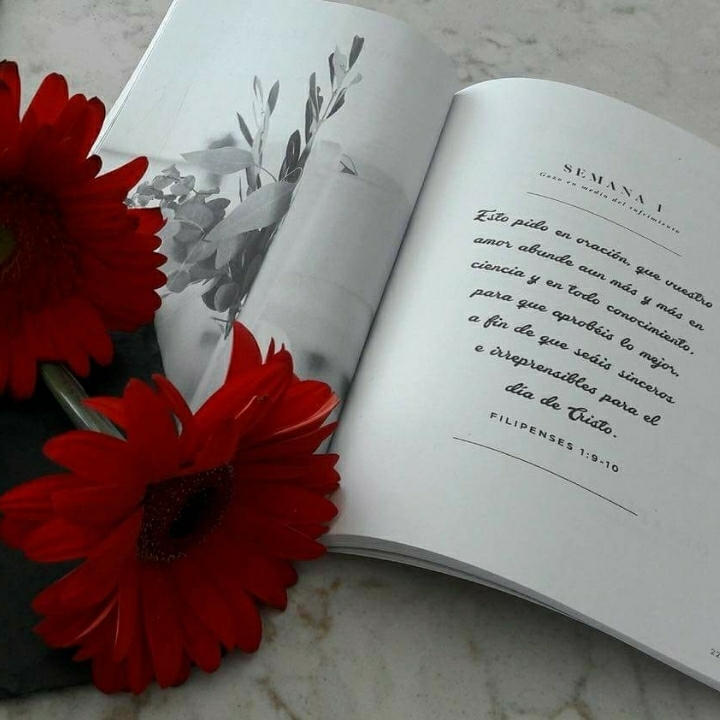 lectura de la palabra de Dios