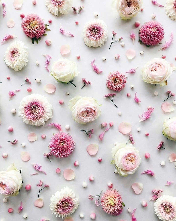 blossom