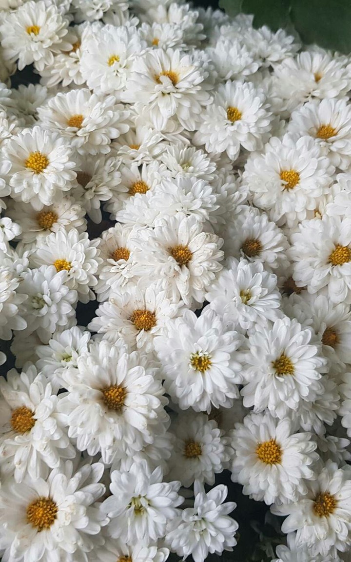 ?