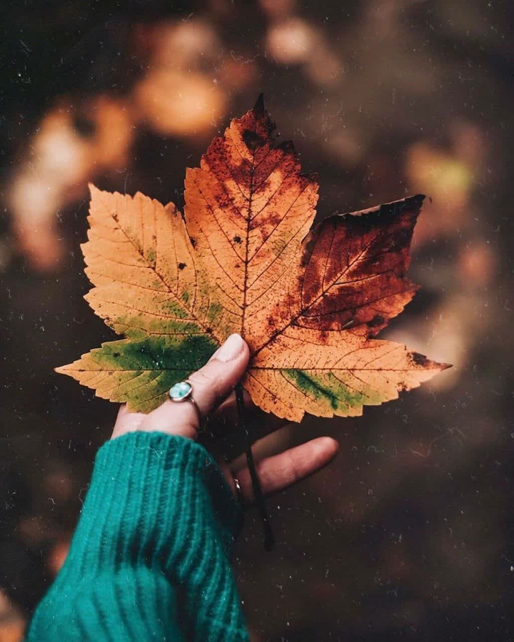 ❤?❤??❤?❤?