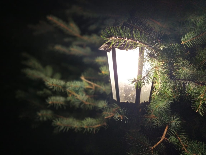 light