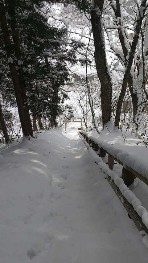 slope, wood वॉलपेपर