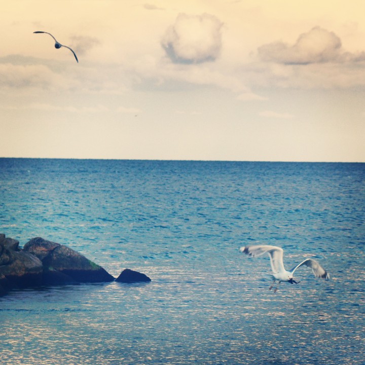 sea