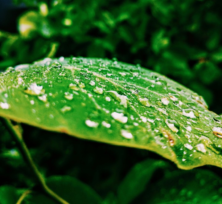 Droplets