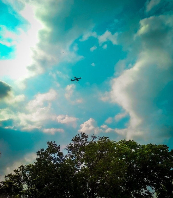 flight