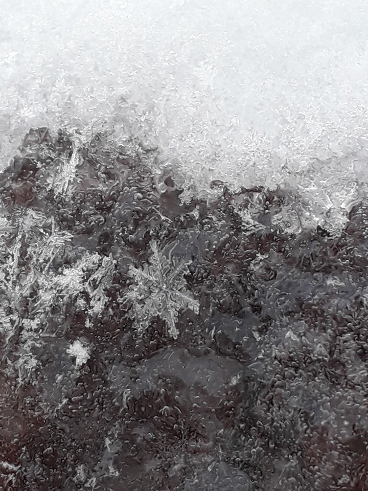 Snowflakes