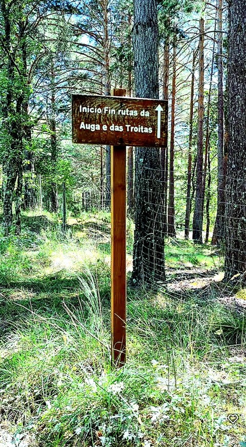 sfondi woodland, wood