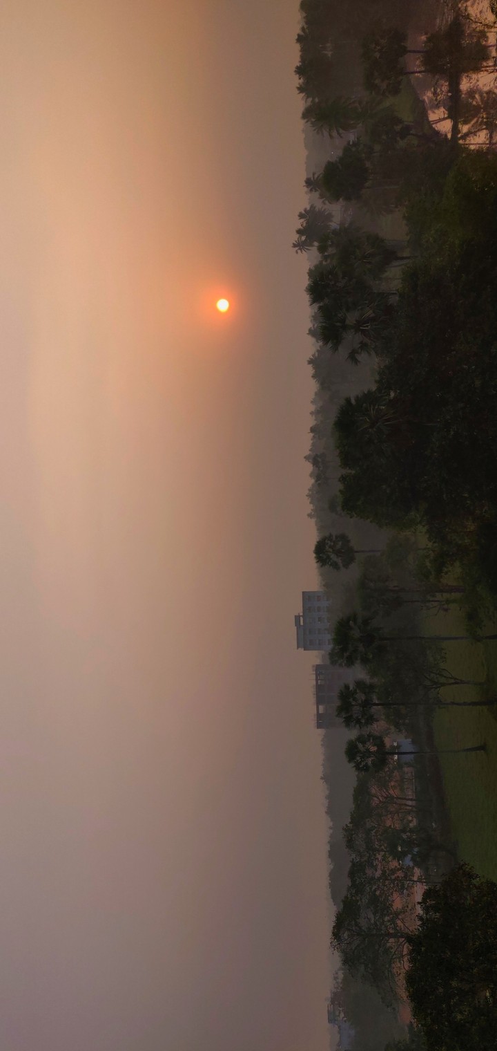 Dawn