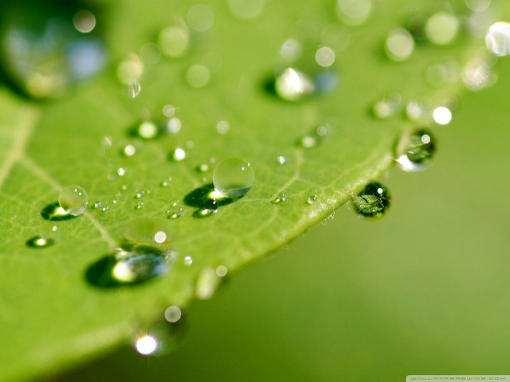 Droplets