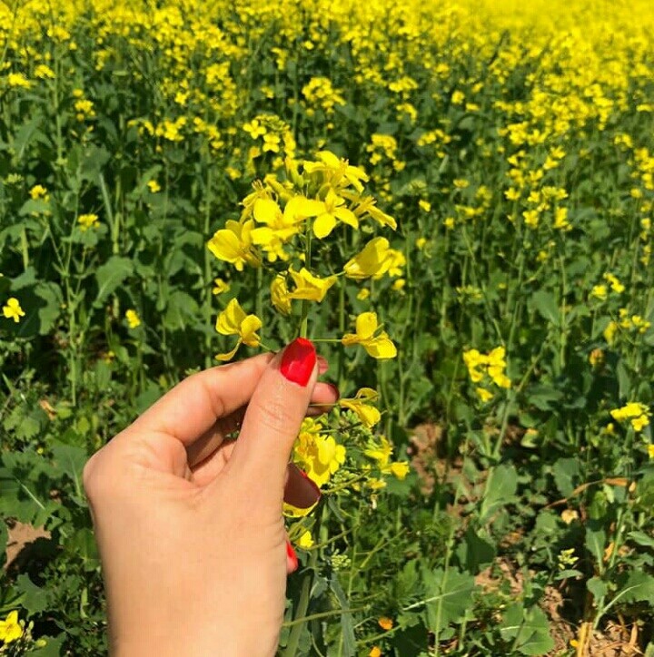 Nature