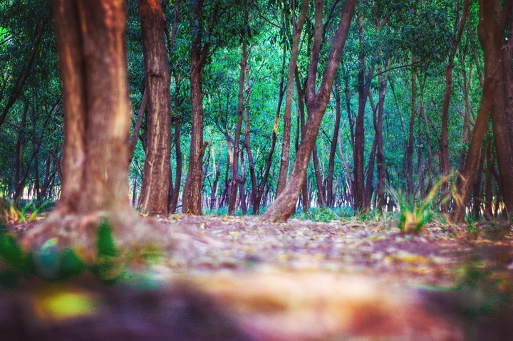 Deep nature♥