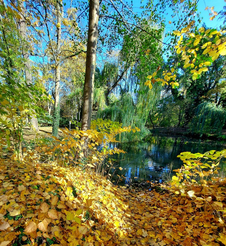 Herbstspaziergang