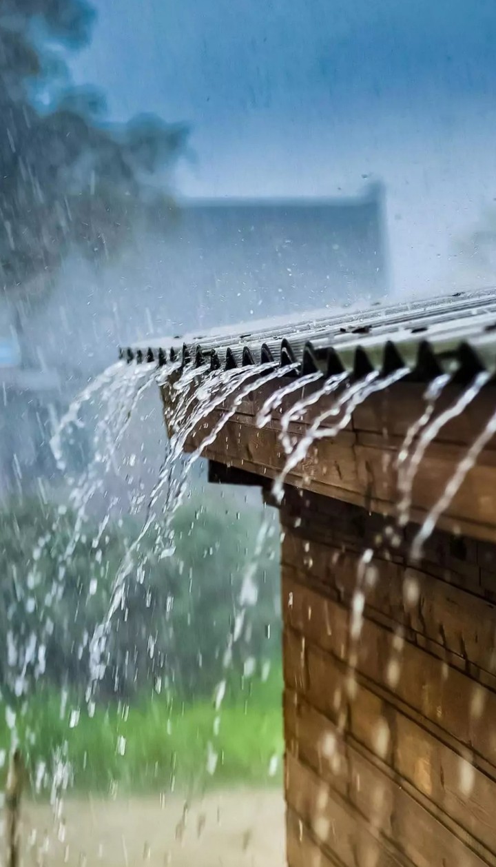 rain