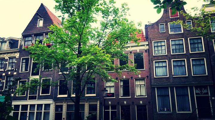 Lovely Houses