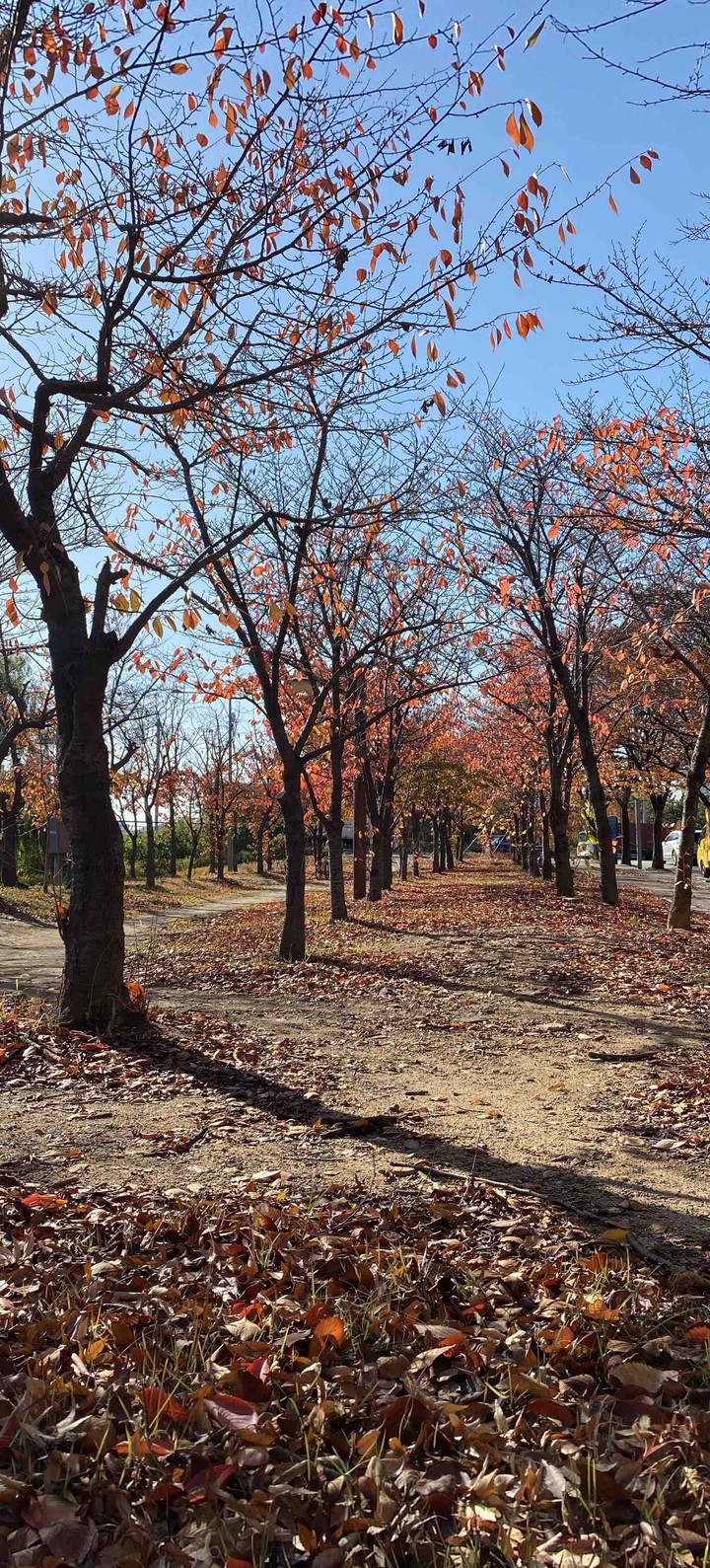 가을