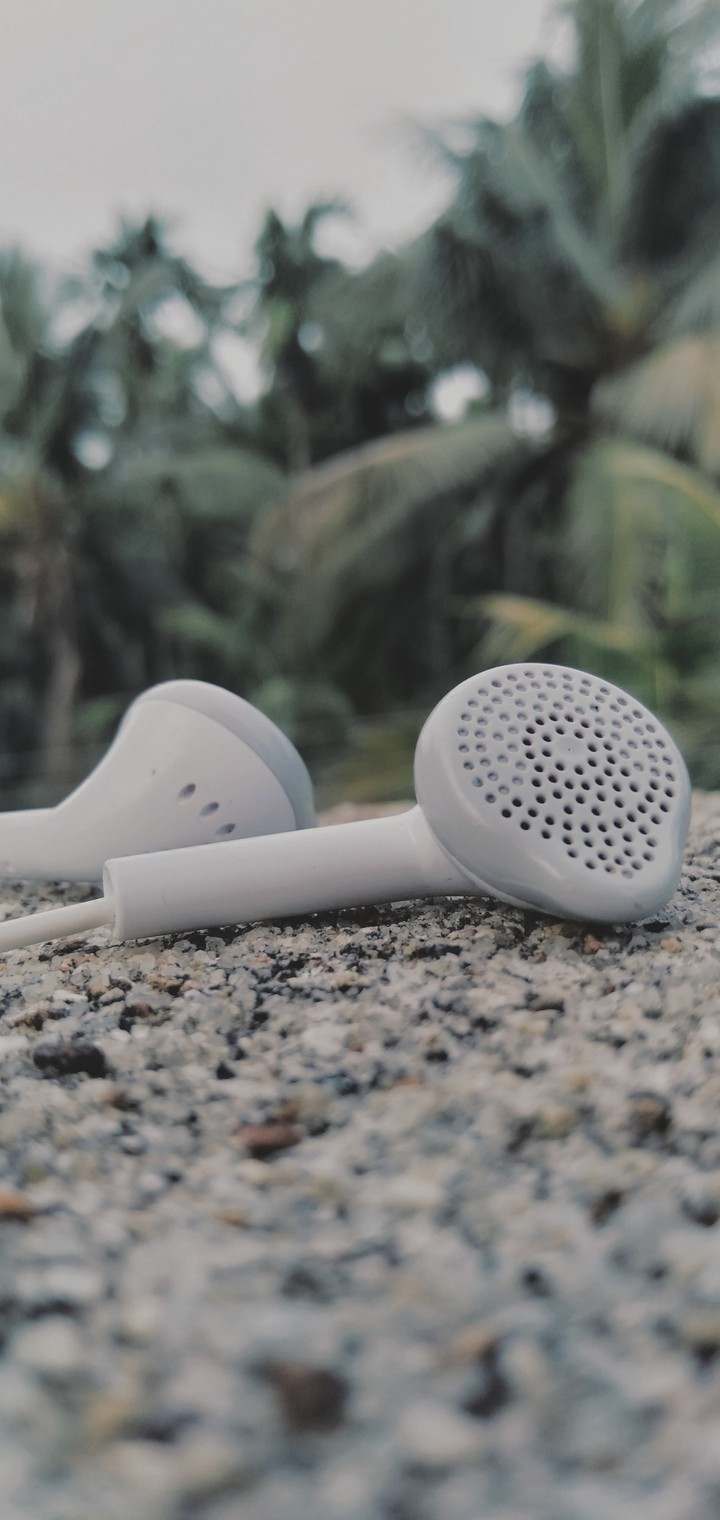 Earphones in Rest