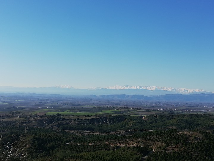 çukurova-Adana