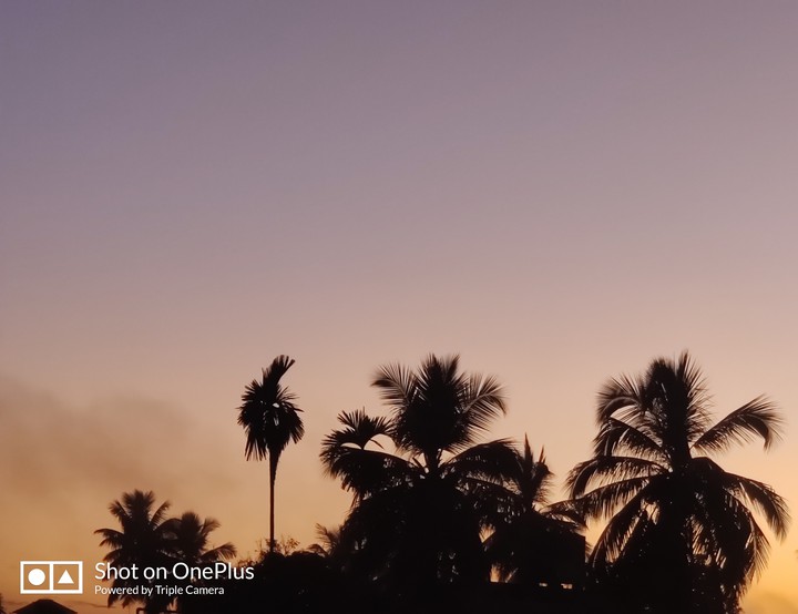 sunset smoke