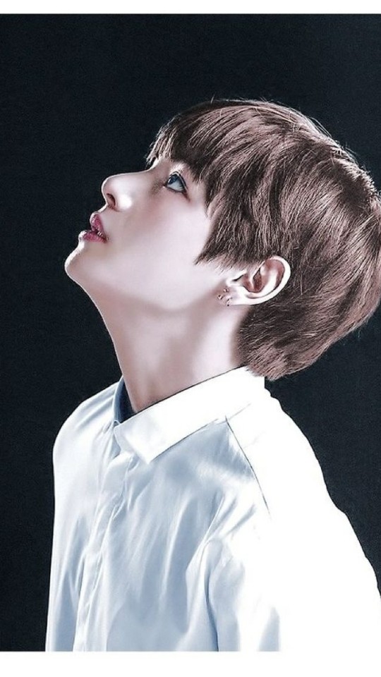 TaeTae V